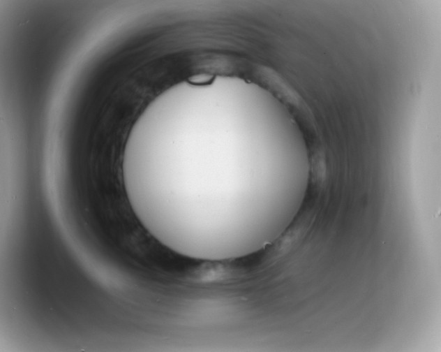 X0000103250764200809181604
