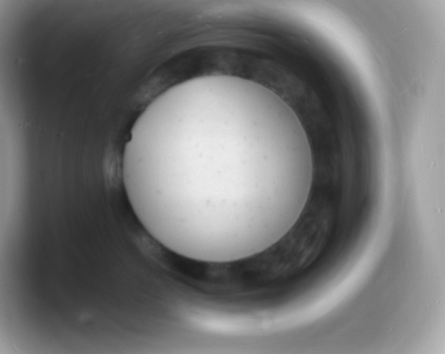 X0000103250766200809181604