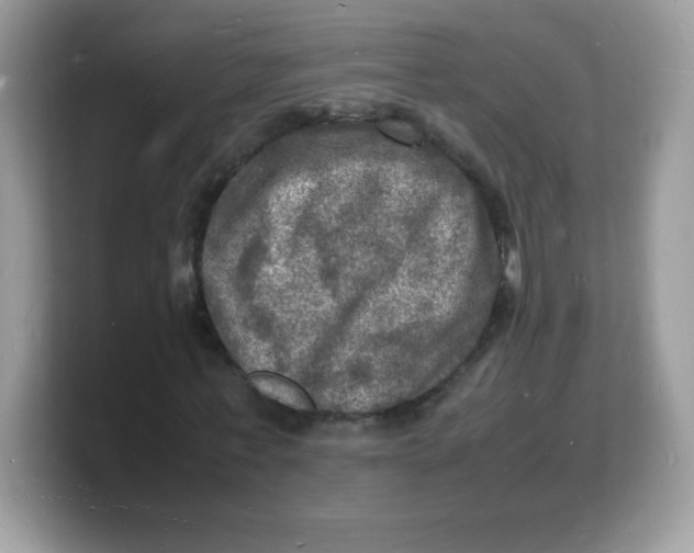 X0000103250771200809181604