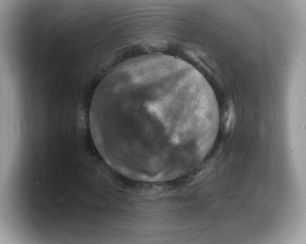 X0000103250772200809181604