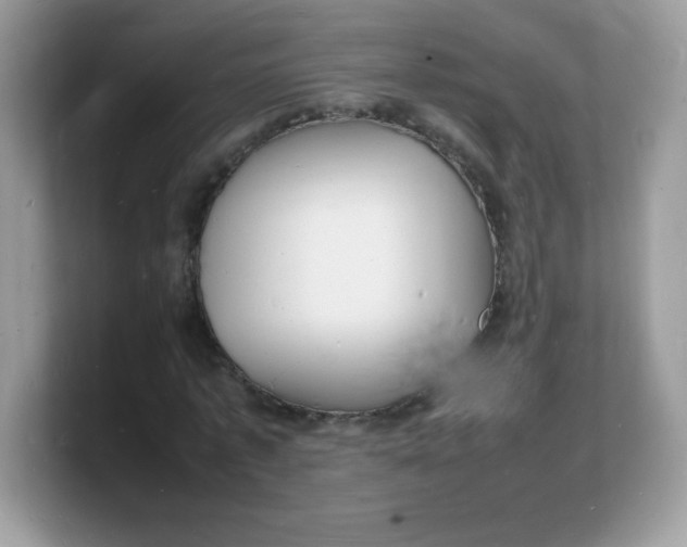 X0000103250773200809181604