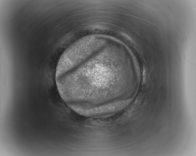 X0000103250774200809181604