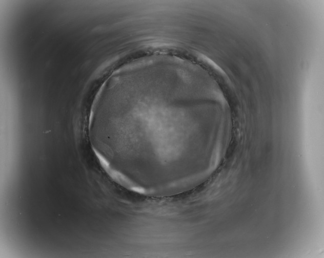 X0000103250775200809181604