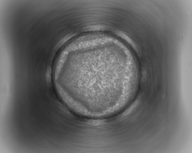 X0000103250778200809181603