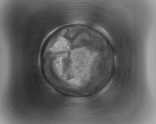 X0000103250780200809181603