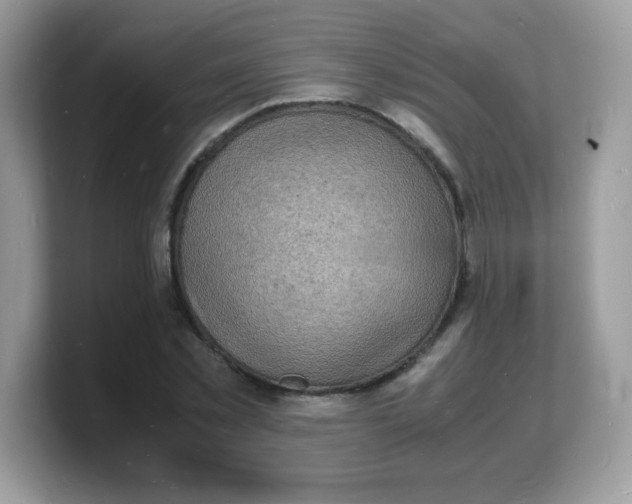 X0000103250781200809181603