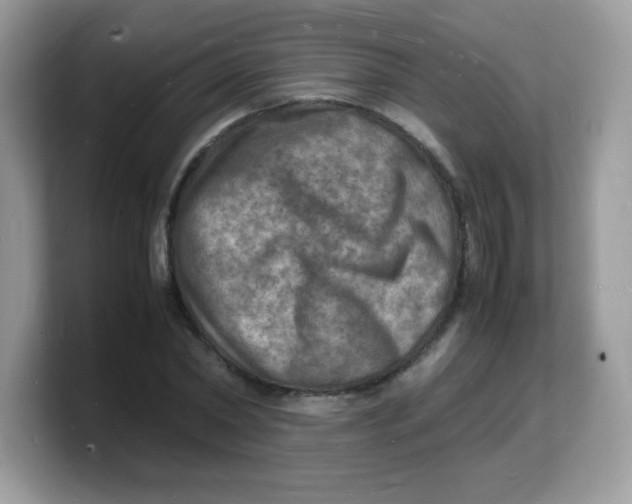 X0000103250782200809181603