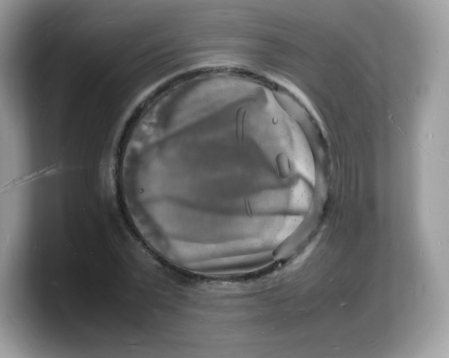 X0000103250783200809181603