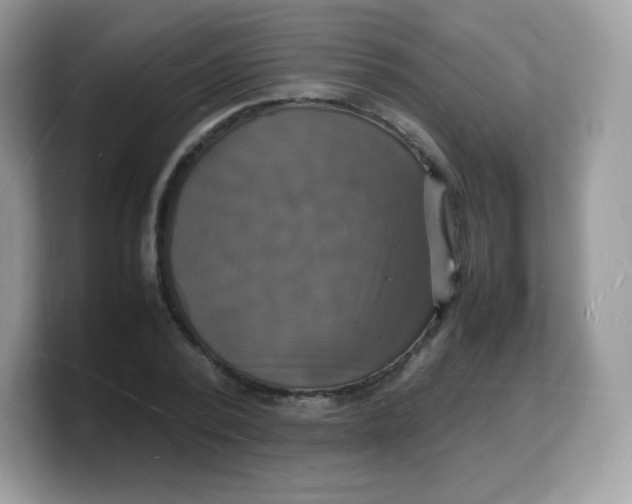 X0000103250784200809181603