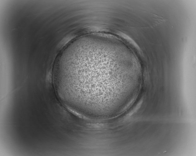 X0000103250785200809181603