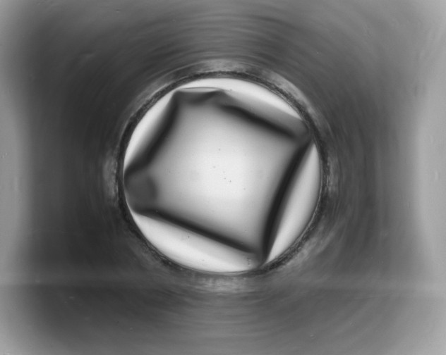 X0000103250786200809181603