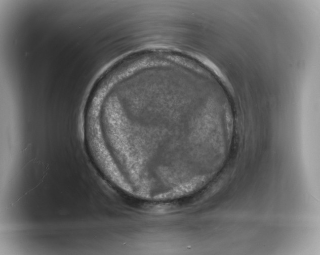 X0000103250791200809181603