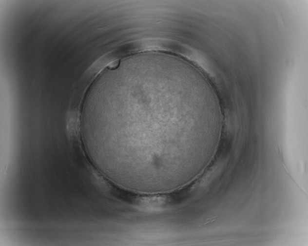 X0000103250793200809181603