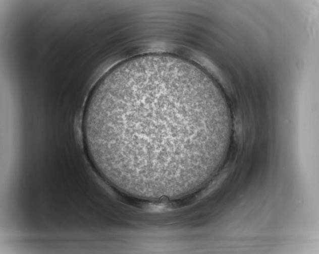 X0000103250794200809181603