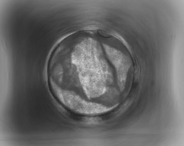 X0000103250795200809181603