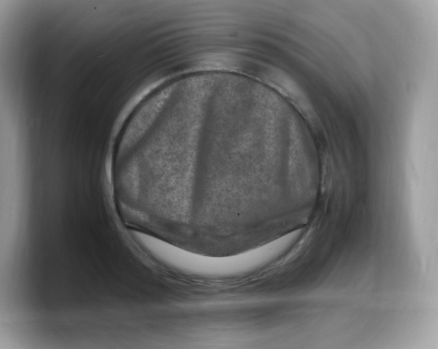 X0000103250796200809181603