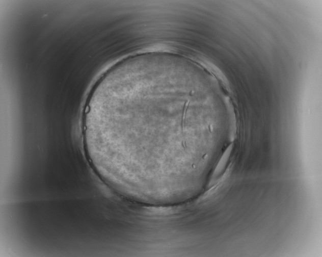 X0000103250800200809181603