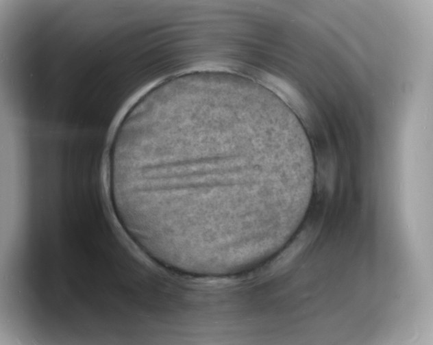 X0000103250804200809181603