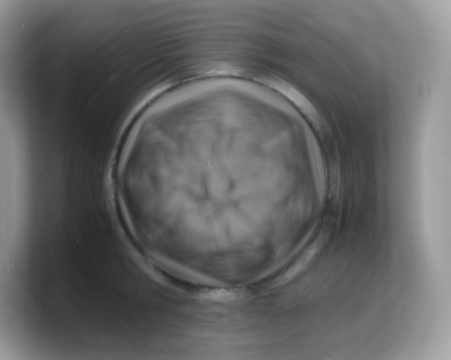 X0000103250806200809181603