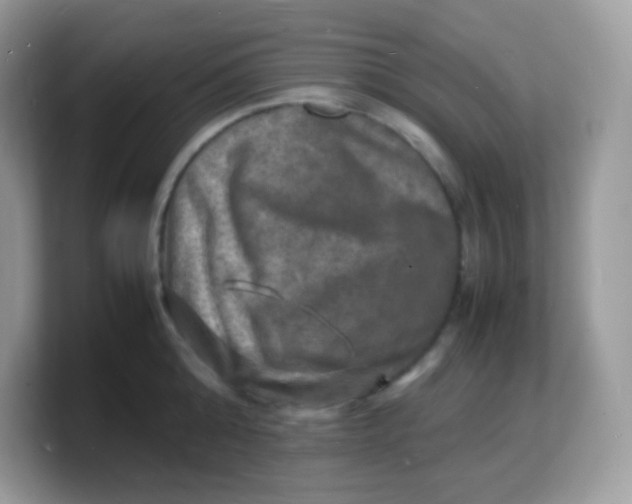 X0000103250808200809181603