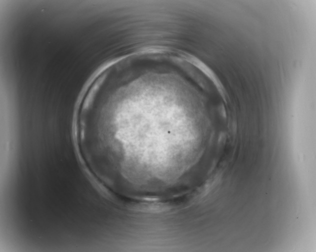 X0000103250811200809181603