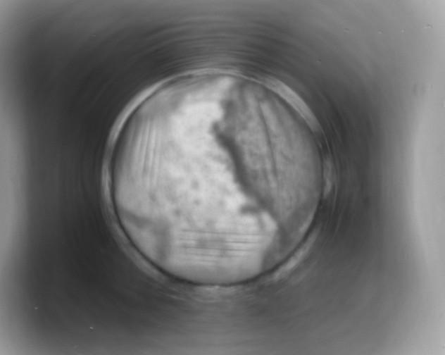 X0000103250812200809181603