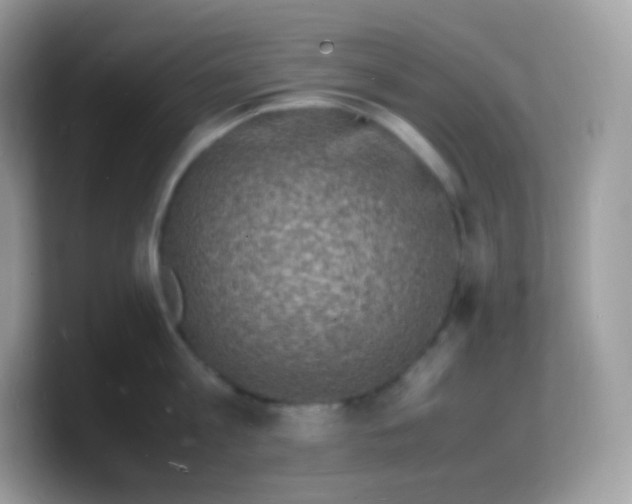 X0000103250813200809181603