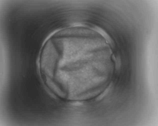 X0000103250814200809181603