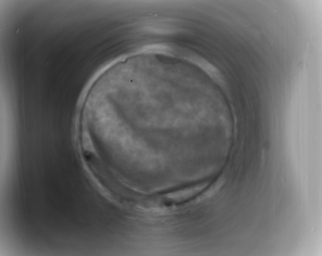 X0000103250816200809181603