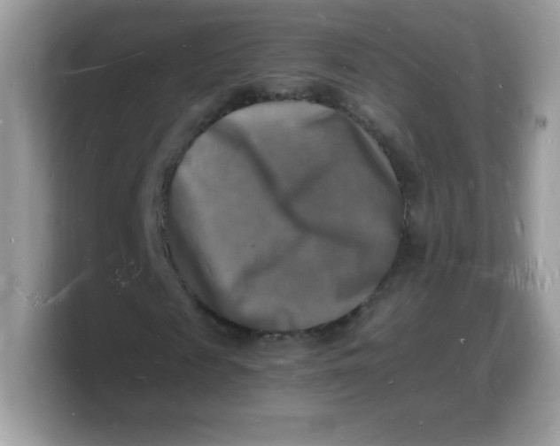 X0000103250817200809181602