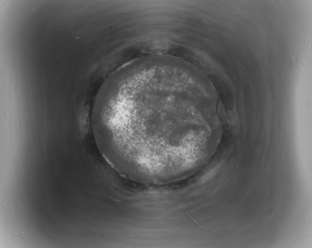 X0000103250818200809181602