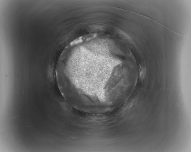 X0000103250819200809181602