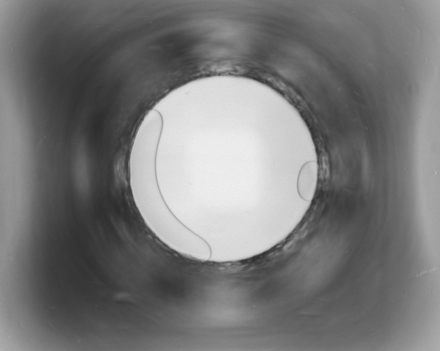 X0000103250820200809181602