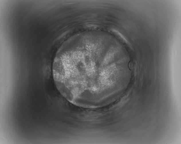 X0000103250821200809181602