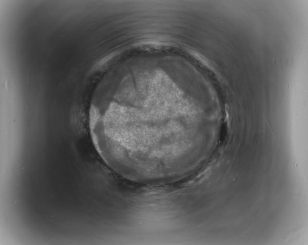 X0000103250822200809181602
