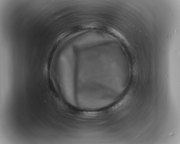 X0000103250825200809181602