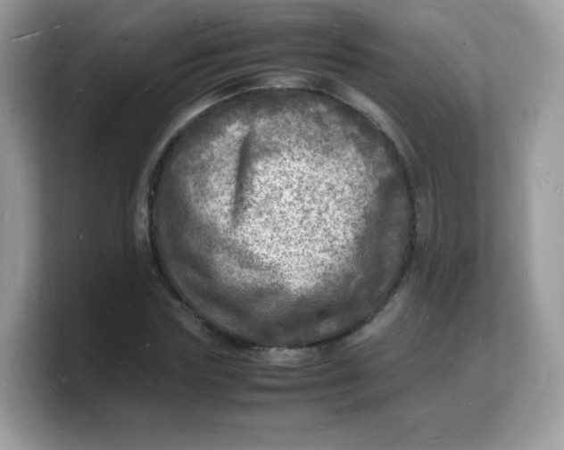 X0000103250827200809181602