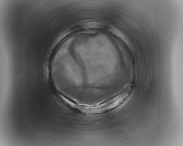 X0000103250829200809181602
