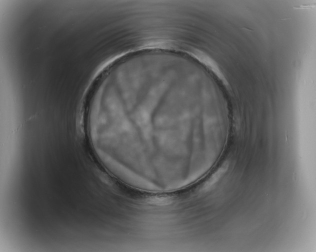 X0000103250830200809181602