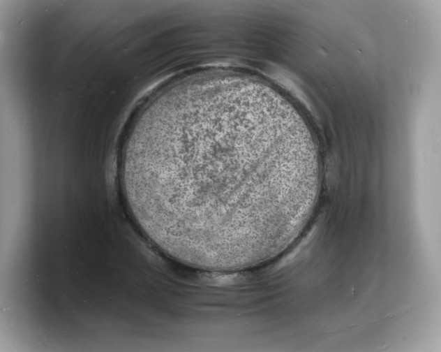 X0000103250831200809181602