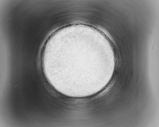 X0000103250832200809181602