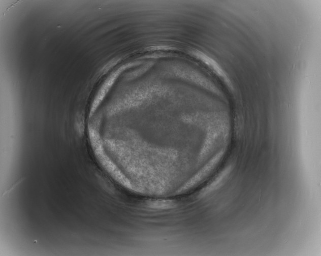 X0000103250833200809181602