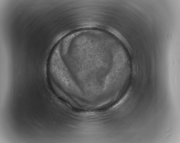 X0000103250834200809181602
