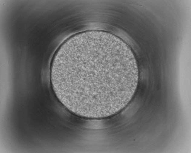 X0000103250836200809181602
