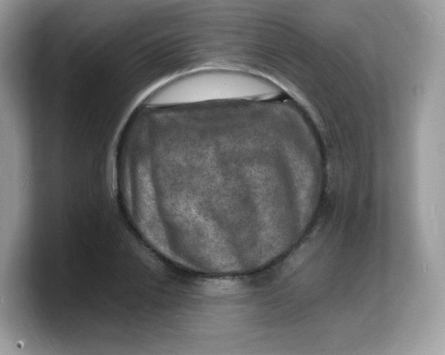 X0000103250838200809181603