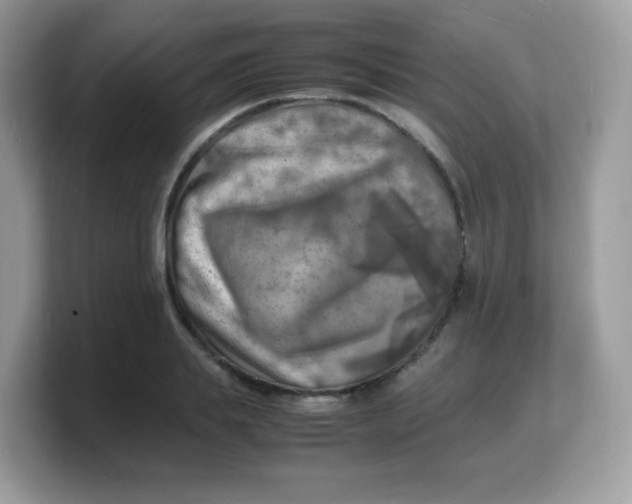 X0000103250839200809181603