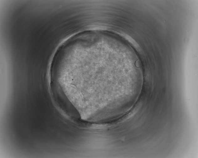 X0000103250840200809181603
