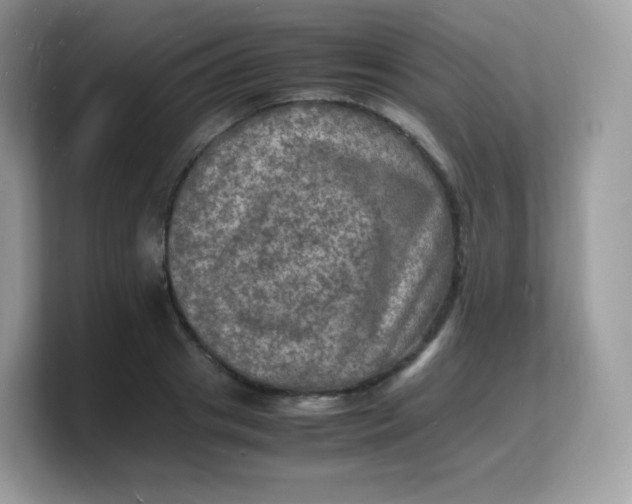 X0000103250841200809181603