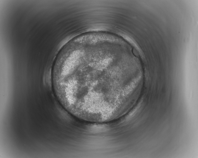 X0000103250842200809181603