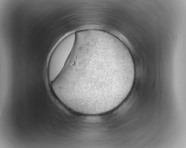 X0000103250844200809181603